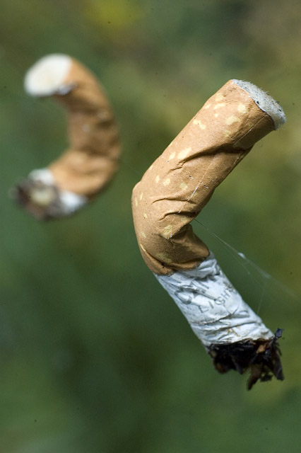 Smoke on a Rope II